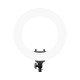 Rixus RXLG29 Ring Light 48W 18 Inch White