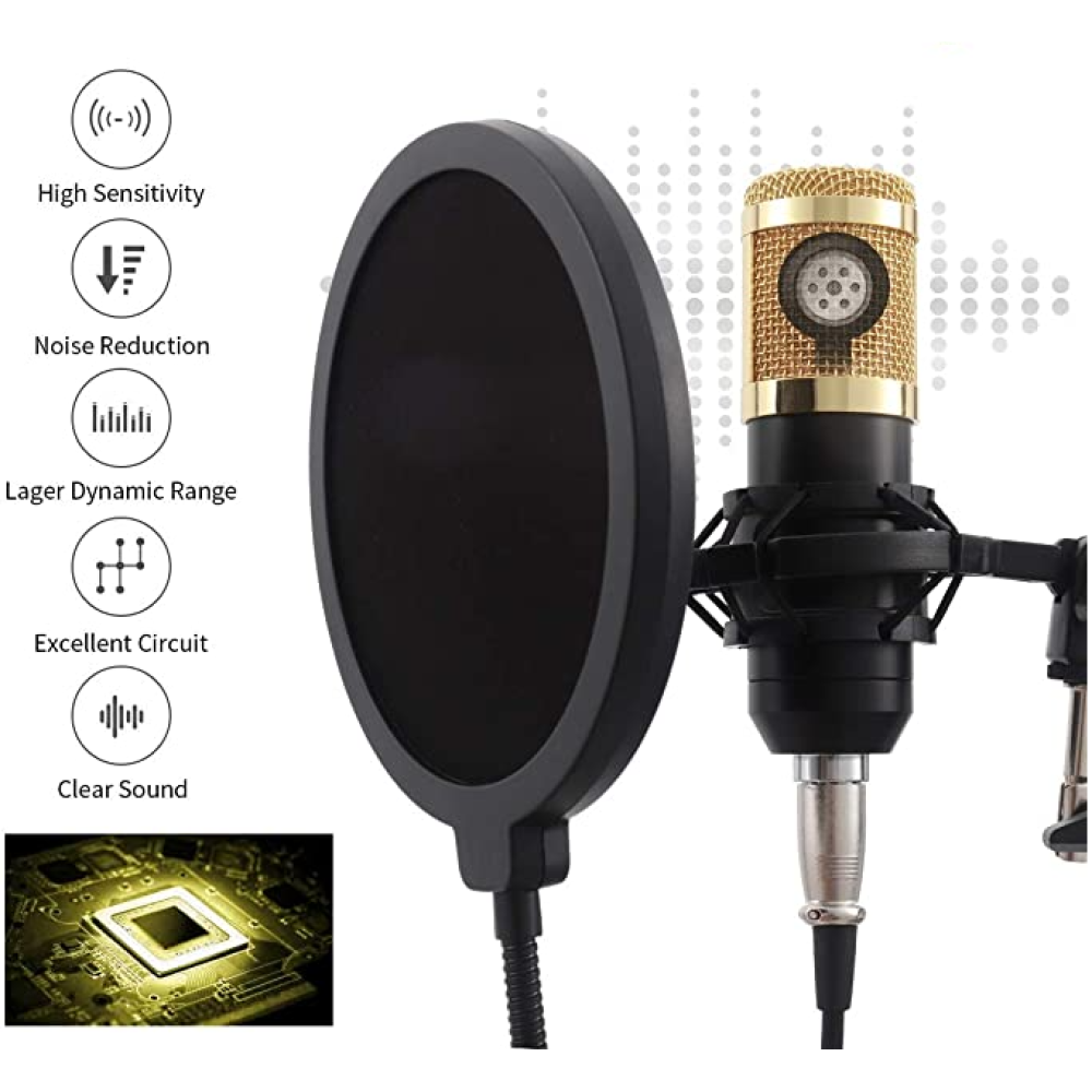 Live Broadcast Microphone Equipment